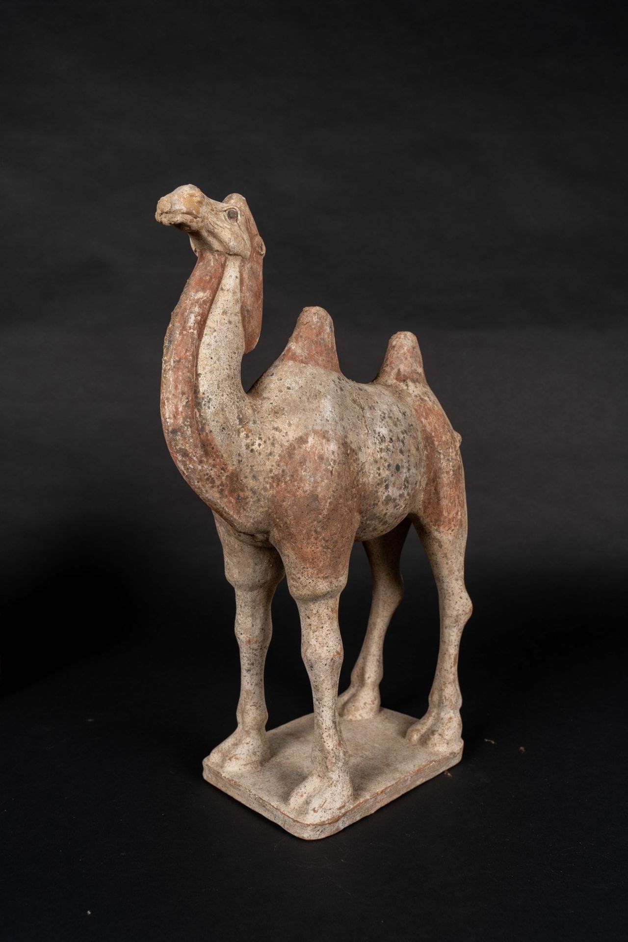 Arte Cinese An earthenware Bactrian camel China, Tang dynasty, 9th century. - Image 2 of 3