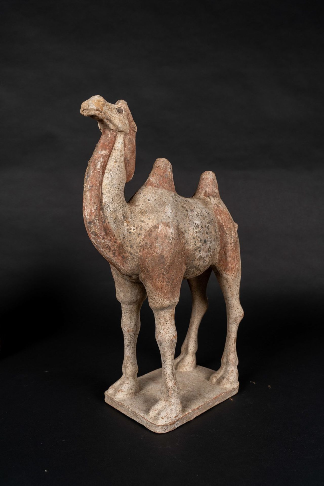 Arte Cinese An earthenware Bactrian camel China, Tang dynasty, 9th century. - Bild 2 aus 3