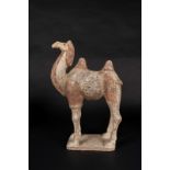 Arte Cinese An earthenware Bactrian camel China, Tang dynasty, 9th century.