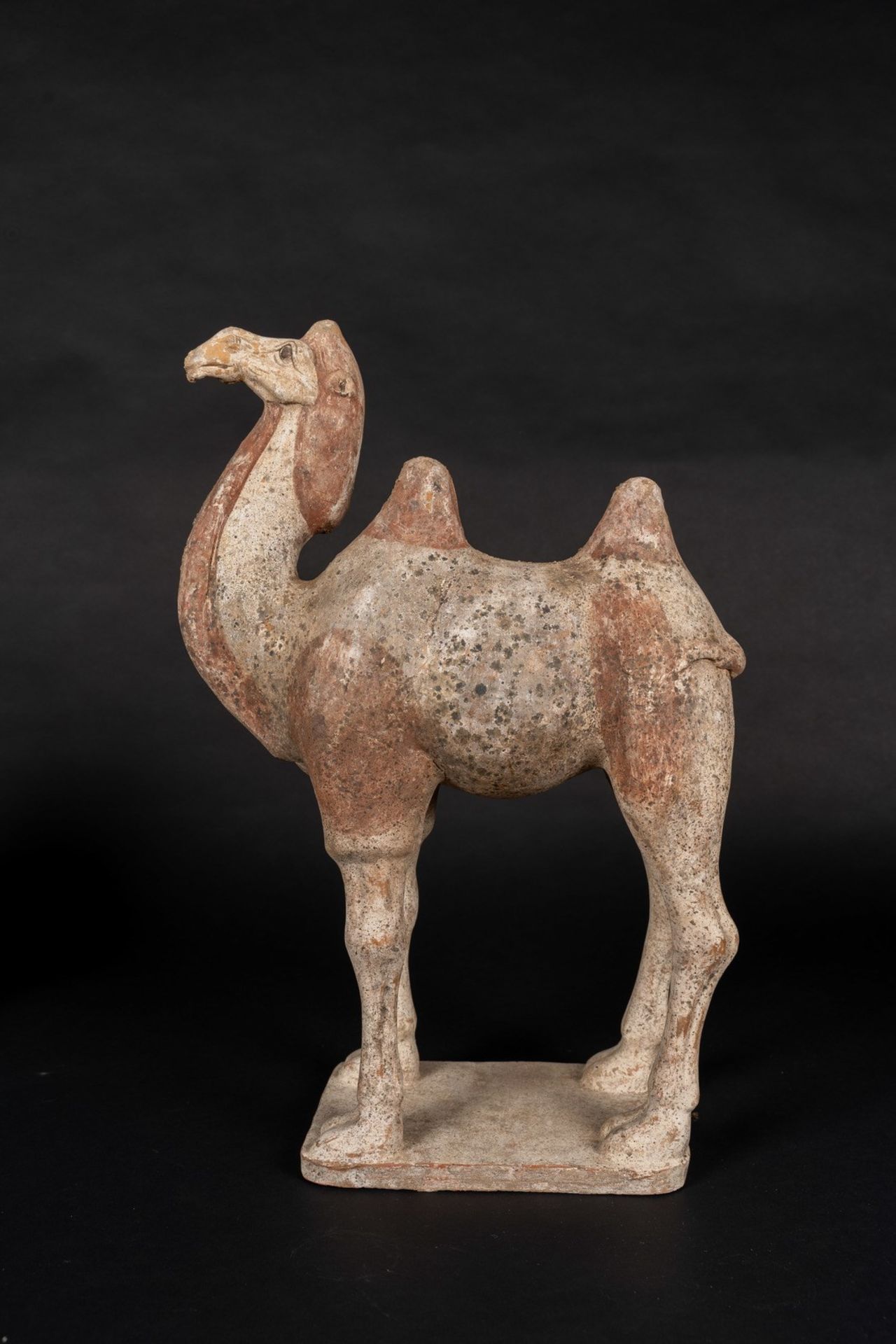 Arte Cinese An earthenware Bactrian camel China, Tang dynasty, 9th century.