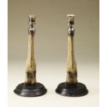 Naturalia Pair of candlesticksEngland, late 19th century.