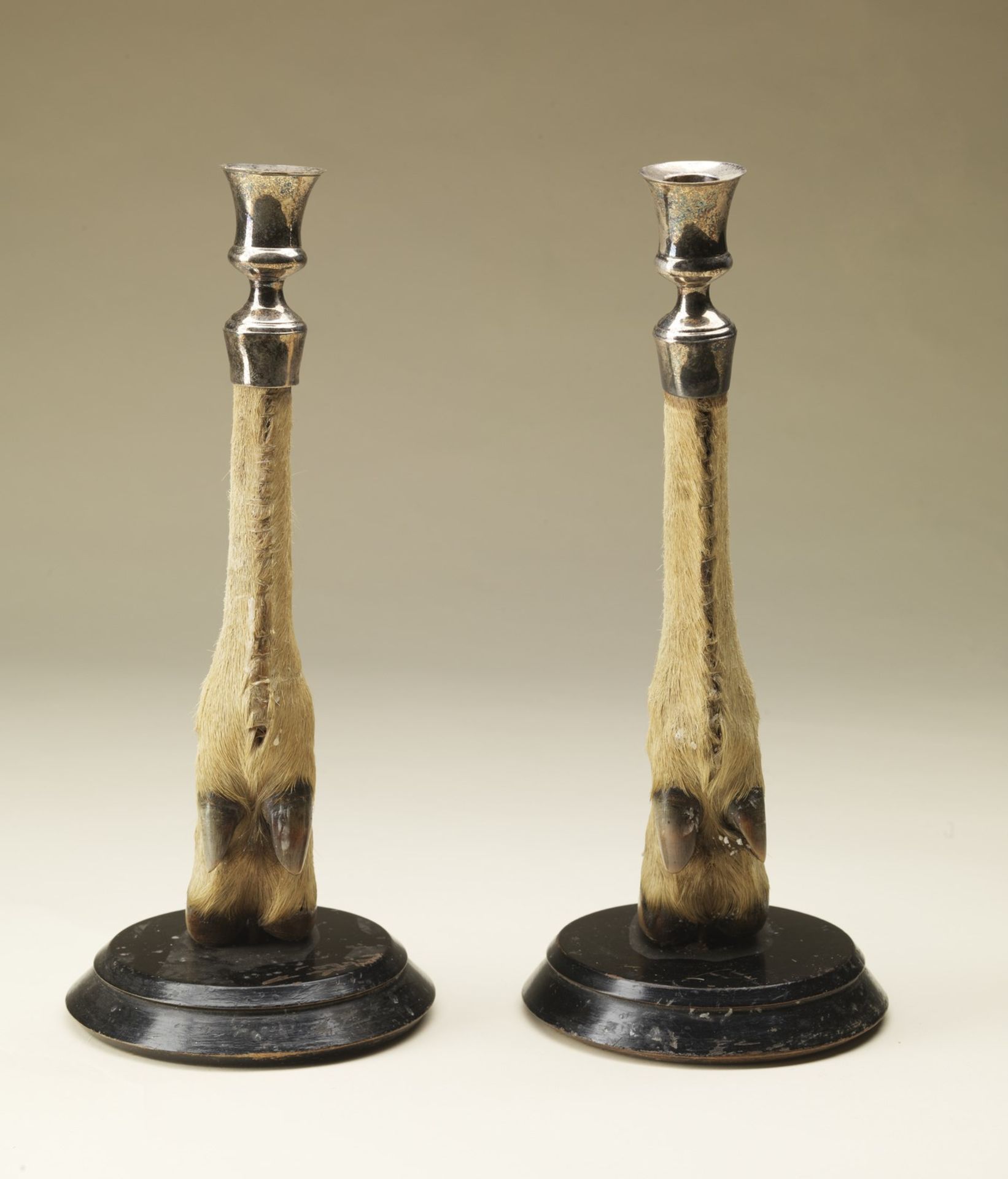 Naturalia Pair of candlesticksEngland, late 19th century.