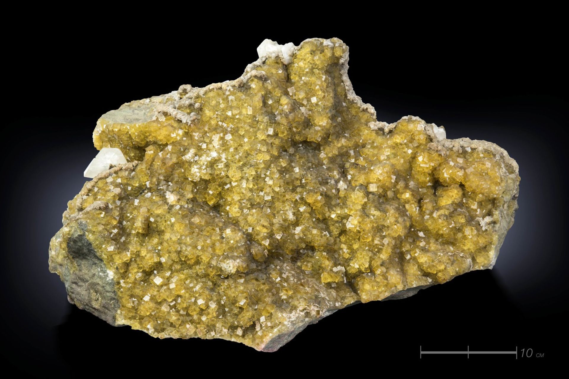 Naturalia Fluorite Muscona mine, Asturia, Spain .