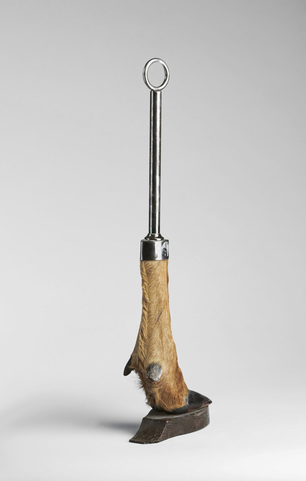 Naturalia Deer leg doorstopEngland, early 20th century. - Bild 2 aus 3