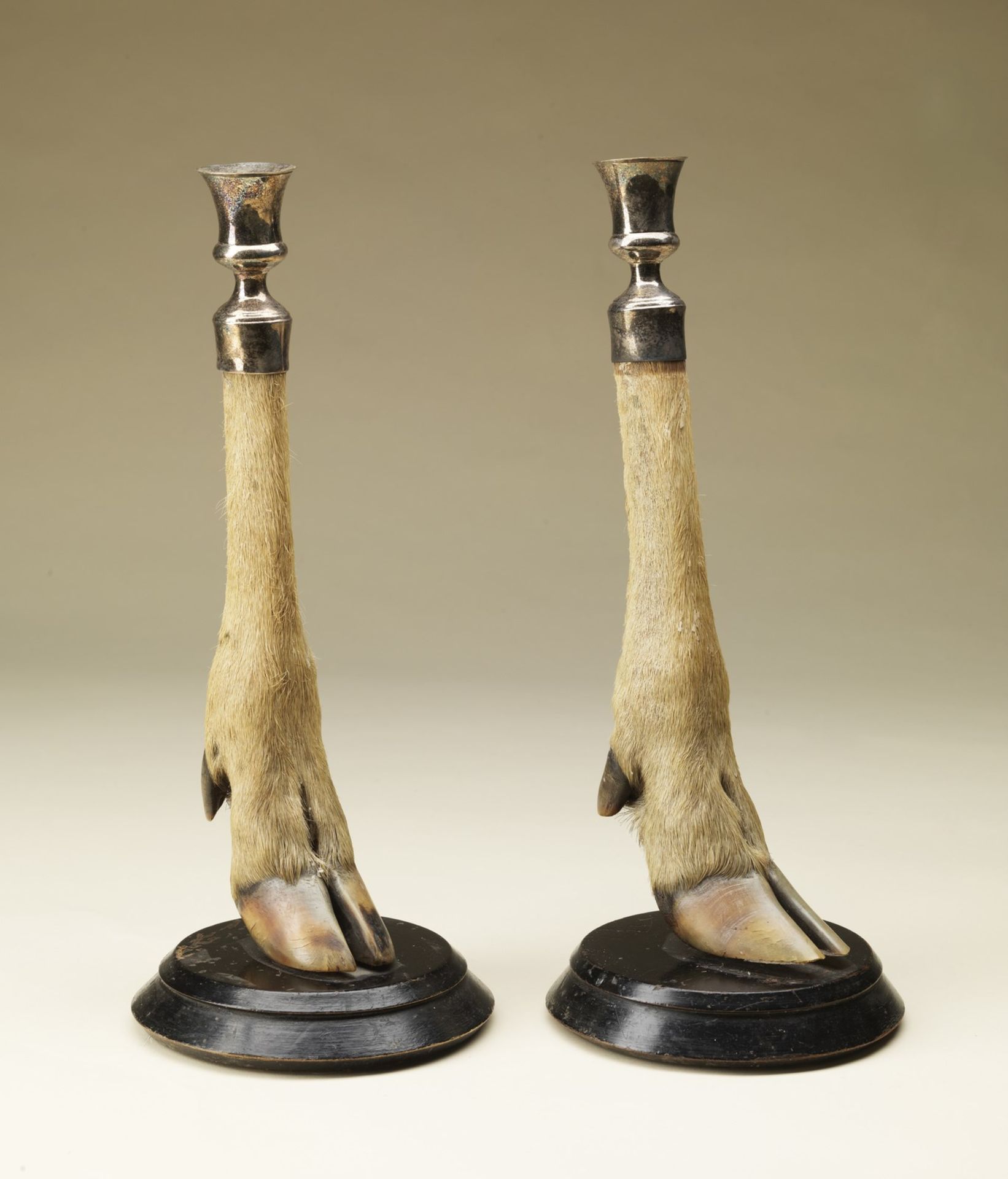 Naturalia Pair of candlesticksEngland, late 19th century. - Image 2 of 3