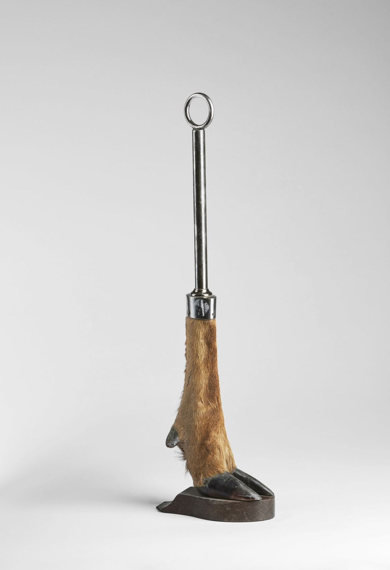 Naturalia Deer leg doorstopEngland, early 20th century.