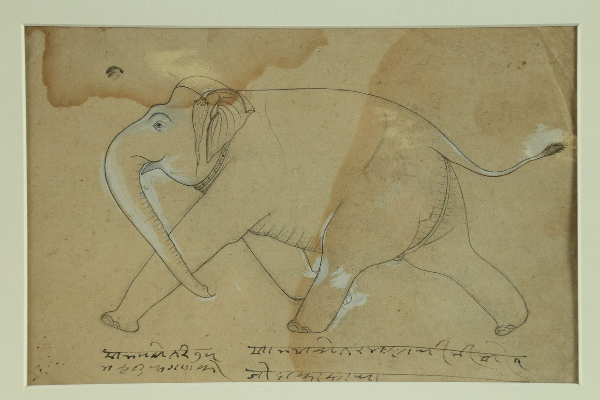 Arte Indiana A front and back sketch depicting two elephants India, 19th century.