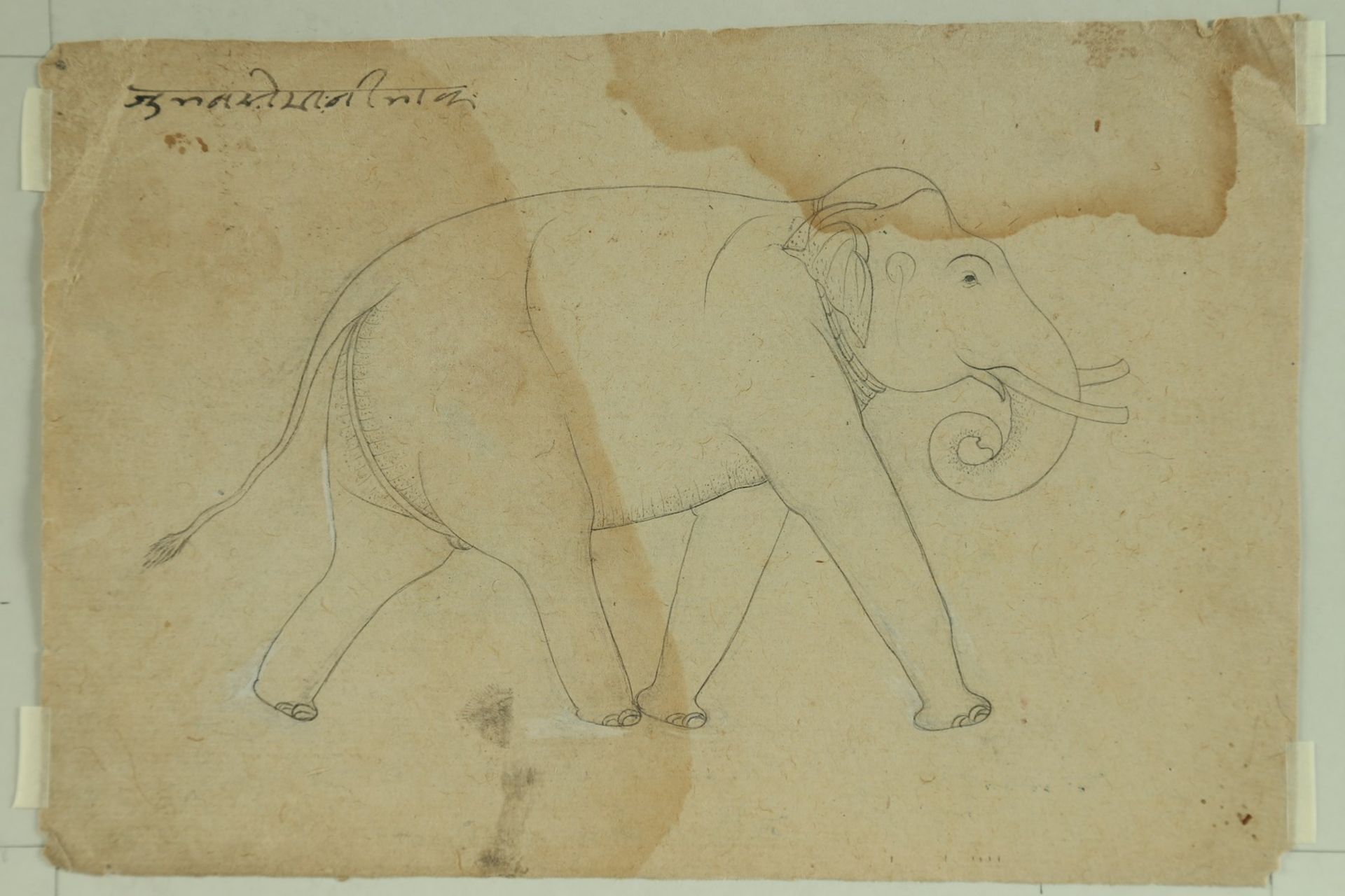 Arte Indiana A front and back sketch depicting two elephants India, 19th century. - Image 2 of 2