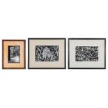 3 John Stuart Ingle Photographs, Driftwood & Sidewalk