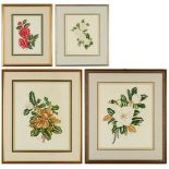 4 Lila Moore Keen Floral Watercolor Paintings