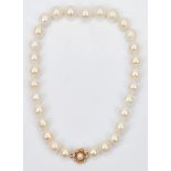 14K Gold Clasp 16" South Sea Pearl Necklace