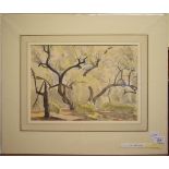 Gilbert Laurie Cadell (1909-1993), trees at Mohano, pastel and watercolour, inscribed, 25 x 36 cm,