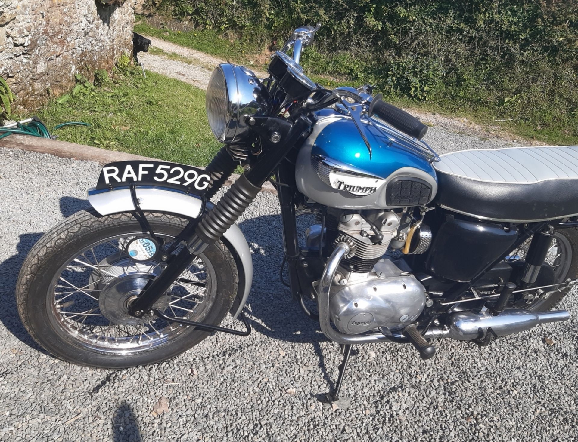 A 1969 Triumph T90 Blue/silver V5C Well presented Dry stored for many - Image 8 of 12