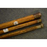 A Georgian carriage cane, 110 cm, and two others similar (3)