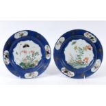 A pair of Chinese porcelain plates, decorated insects, foliage and bugs in enamel colours on a