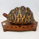An Indian box, in the form of a tortoise, the hinged lid revealing an inlaid interior, on a