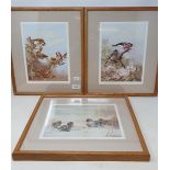A set of three Archibald Thorburn signed bird prints (3)