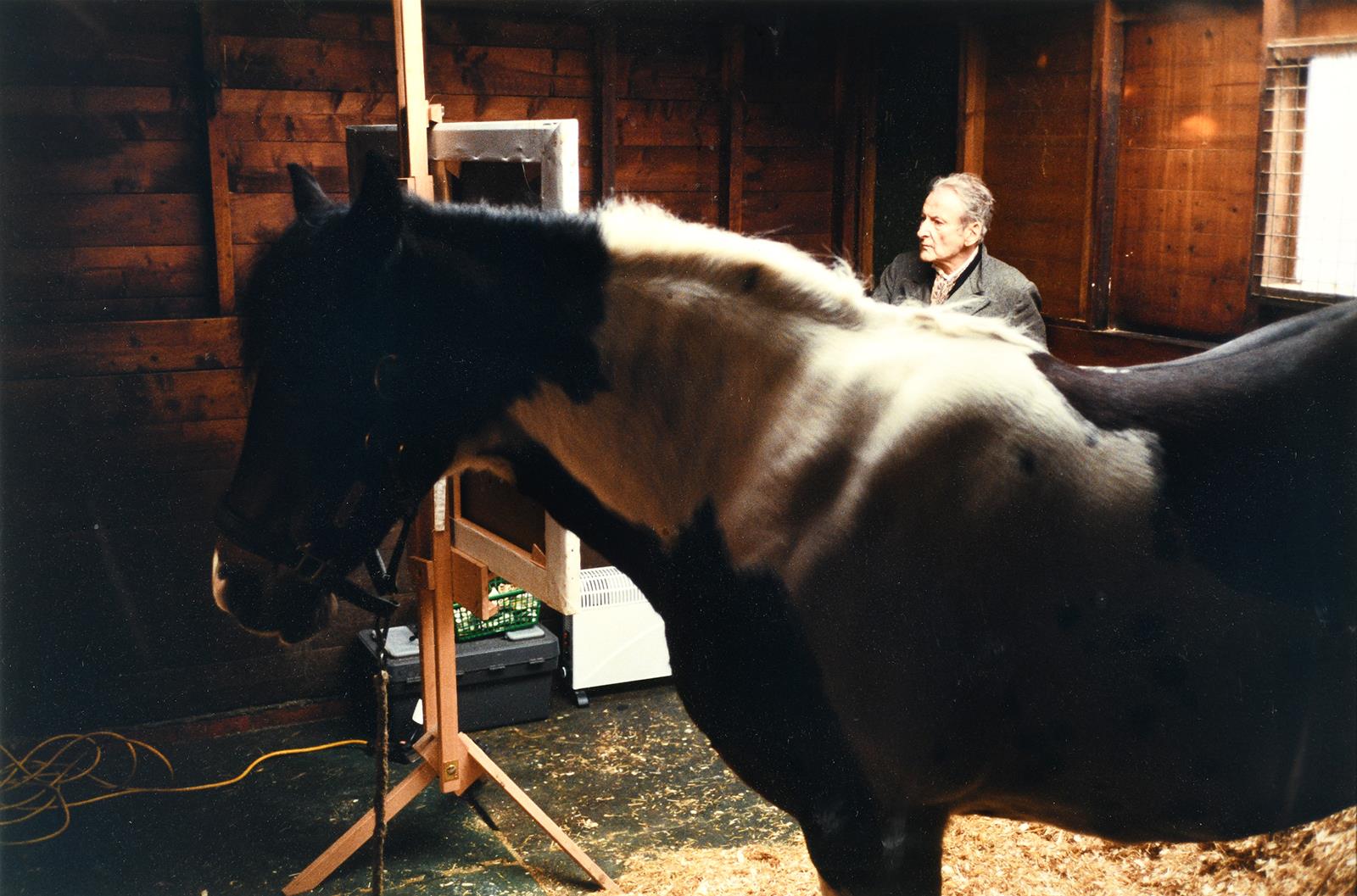 A colour photograph, of Lucian Freud, painting a horse in a stable, 39 x 59 cm See illustration