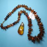 An amber necklace, and an amber pendant (2) Report by RB Approx. 71 g (all in)