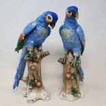 A pair of porcelain figures, of parrots on tree stumps, slight loss, 35 cm and 34 cm high (2) Report