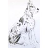 April Shepherd (British, 20th century), ?Dog Portrait II?, study of a Great Dane, charcoal drawing