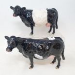 A Beswick black Galloway cow, 4113B, and a belted Galloway cow, 4113, both boxed (2)