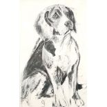 April Shepherd (British, 20th century), ?Cute Beagle?, charcoal drawing on paper, signed with