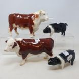 A Beswick Polled Hereford bull, 2549A, a Hereford bull, 949, seven calves and two pigs