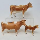 A Beswick Guernsey cow, 1248A, Guernsey cow, 1248B, matt, and a Guernsey calf, 1249A (3)