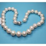 A string of white cultured pearls, with a 9ct white gold ball clasp length 40cm