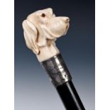A 19th century ebonised walking stick with carved ivory handle, in the form of a dog, 92 cm