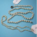 A cultured pearl necklace, and another similar (2)