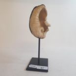 A late 19th/early 20th century whale's eardrum, painted a male portrait, on metal stand, 23 cm high