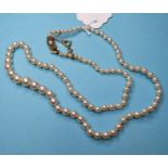 A single row graduated cultured pearl necklace, with a 9ct gold clasp