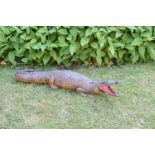 Taxidermy: A Cayman, with a open mouth, 112 cm long