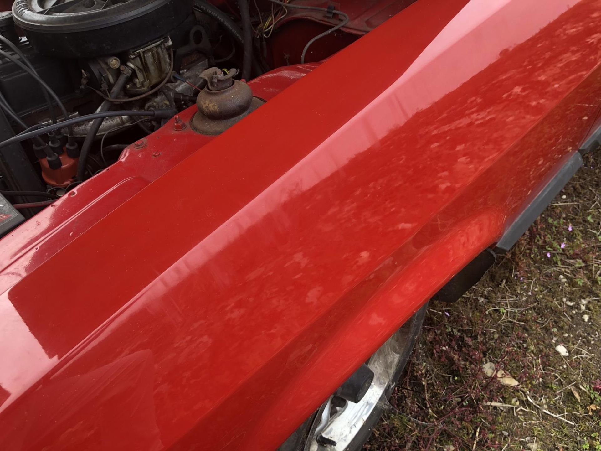 A 1979 Ford Capri 1.6 GL Registration number AEU 475V MOT expired in June 2009 Red with a red - Image 15 of 92