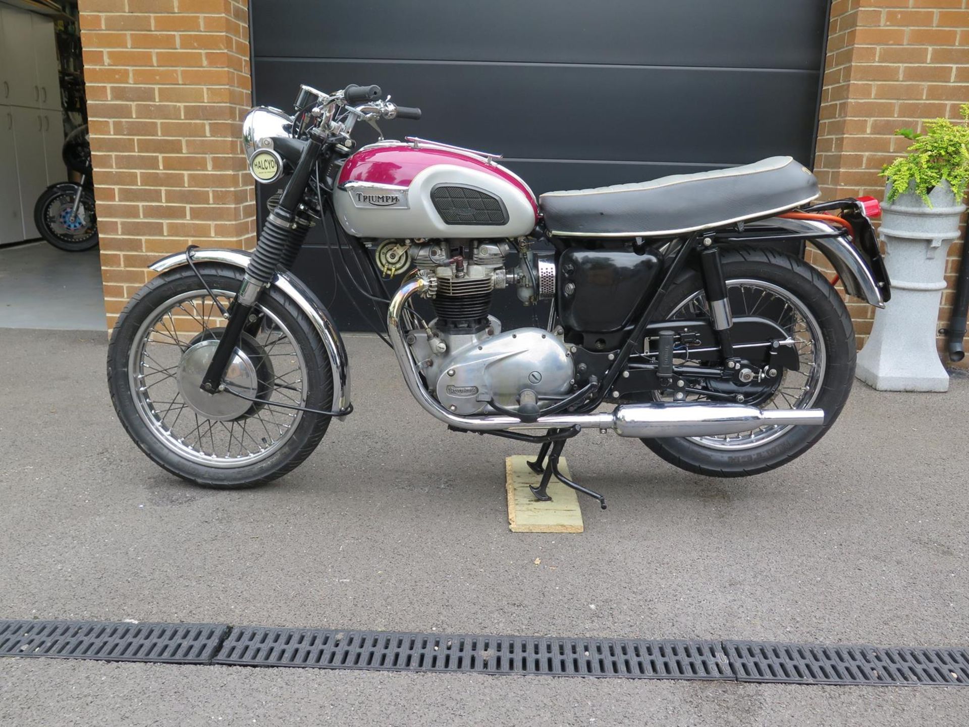 A 1966 Triumph TR6 Registration number HKO 61D Frame number 6TDU42130 Engine number 6TDU42130 - Image 4 of 5