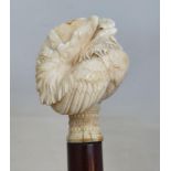 A 19th century fruit wood walking stick with ivory handle carved in the form of a fancy chicken with