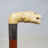 A 19th century hardwood walking stick, with carved ivory handle in the form of a hound with glass