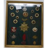 A group of military cap badges and buttons, all relating to Cornwall, mounted and framed, and