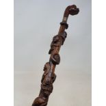 A 19th century one piece fruit wood folk art walking stick, with dog head handle, with shaft