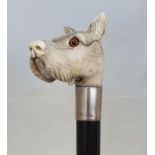 A 19th century ebonised walking stick, with carved ivory handle, in the form of a terrier with