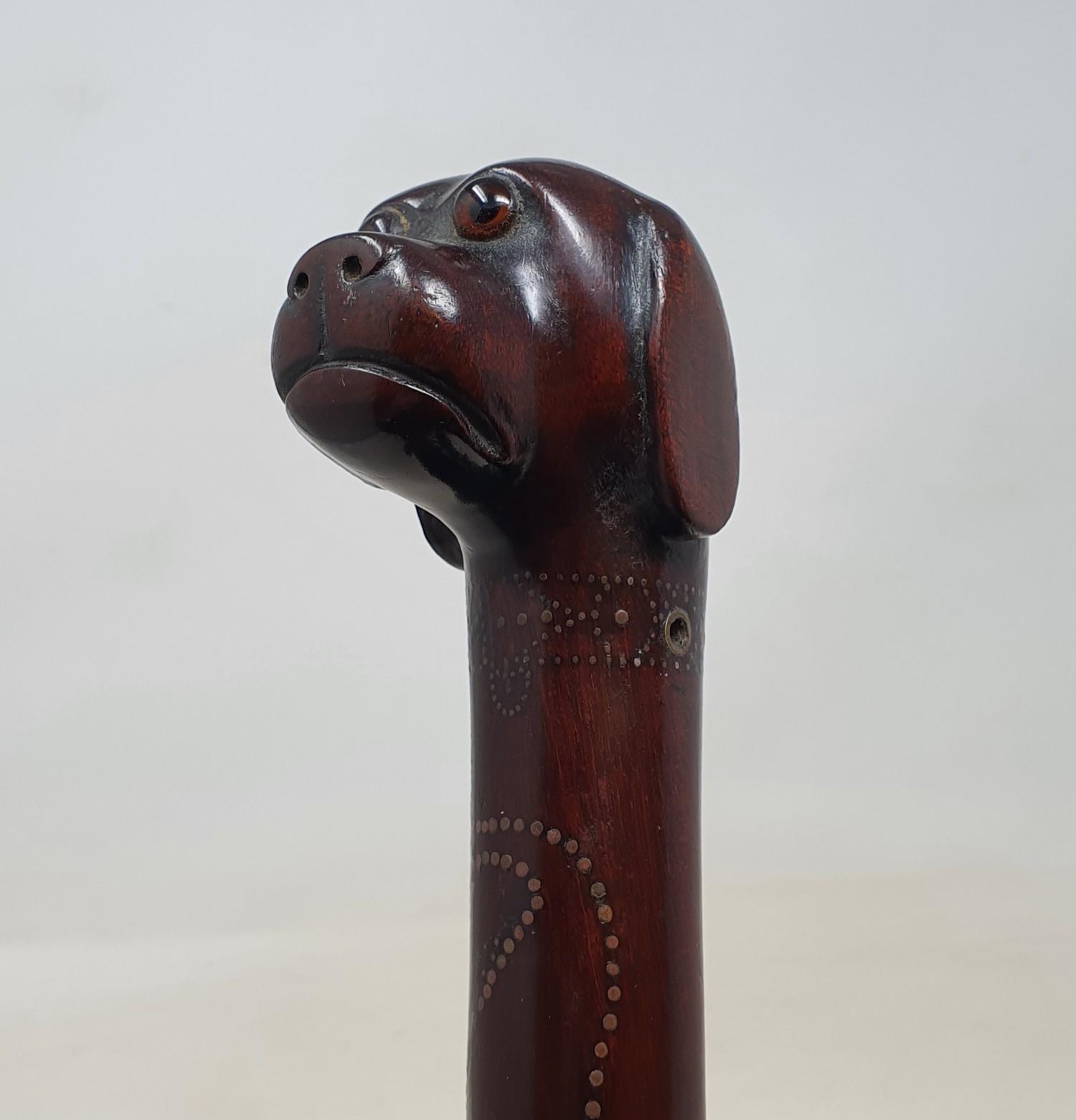 A 19th century one piece hardwood folk art walking stick, with dogs head handle, and shaft carved - Image 5 of 7