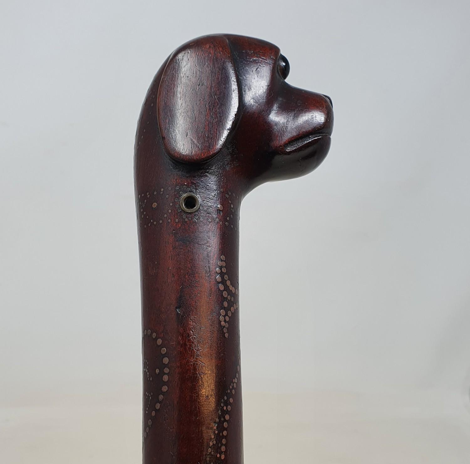 A 19th century one piece hardwood folk art walking stick, with dogs head handle, and shaft carved - Image 4 of 7