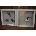 Taxidermy: Two cases of birds, including tits