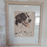 A print of a Pointer dog, and three other pictures (4)