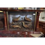 Taxidermy: Birds, in a mahogany case, 86 cm wide