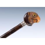 A 19th century walking stick, with coquilla nut handle, carved in the form of a parrot with glass