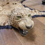 Taxidermy: an early 20th century leopard skin rug, 138 cm