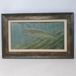 David Miller, a study of a trout, oil on board, signed and dated '99, 20 x 40 cm
